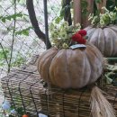 이선우안경 이미지