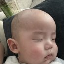 CU편의점(송도스마트밸리점) | D+124~D+130 👶🏻 요니의 3월 일상 (2) - 뺌이가 우리집에 놀러왔어요 !