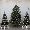 주식회사 셀프트리 | 크리스마스 트리 대여 장식 설치 렌탈 업체