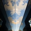 구름이네 이미지