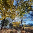 마재근린공원 이미지