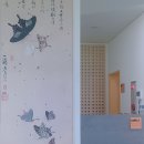 한국의 파브르, 나비에 홀린 석주명을 아시나요?