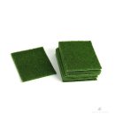 별동자리 이미지