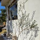 느린가 | 서귀포독채숙소 느린가에 다녀온 찐 후기입니다