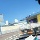 트라제5 이미지