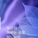 샬롬 Daum카페