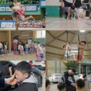 부원전기통신 베리타스알파