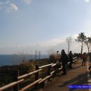 상궁목장 이미지