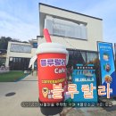 물금읍 증산로 | 양산 물금 증산 카페 추천 가족과 함께 가기좋은 반려동물 동반가능 카페 블루랄라 후기