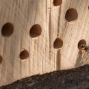 호텔 메리케이 센텀 이미지