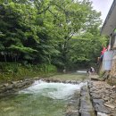 계룡산낙원힐링센터 | ​[계룡산 동학사 맛집] 여름 필수 코스! 계룡산식당 백숙 후기!