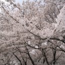 대공원입구로 이미지