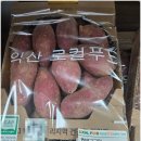 (맛있는 겨울 간식 추천)달콤하고 먹기 좋아 다양하게 요리하기 좋은 익산로컬푸드 호박고구마🍠😋