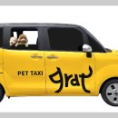 Paxi(팩시) | 🐾 멍택시? 🐶 꿀팁 &amp; 업체별 비교! 뚜벅이 견주님, 이제 편하게 댕댕이와 슝! 🚕💨