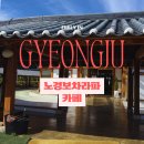 경주 한옥카페 추천｜노경보차라파 후기, 조용히 쉬어가기 좋은 감성카페