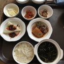 [내돈내산] 리뷰 : 대구서구 닥터안산후조리원 2주 후기