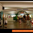 인산초등학교 이미지