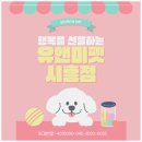 고양이숲 | 시흥 노르웨이숲분양 후기｜유앤미펫에서 만난 숲속 같은 고양이