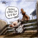 삼겹살에소주한잔 노컷뉴스