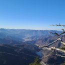 조령산자연휴양림 이미지