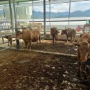 우리소농장 이미지