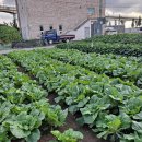 이성우농장 이미지