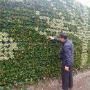 (주)허브동산