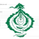 이원근2 | 영화 명당 정보 총정리: 줄거리, 실화, 출연진 및 숨겨진 비하인드 에피소드