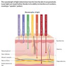밸런스EM의원 | [가양 피부칼럼] 스킨부스터 효과, 건조한 가을 푸석한 피부 고민에 도움이 될까요?