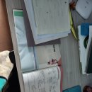 효원고등학교 | ✍️ 정시 수능일, 삶의 흐름