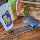 델리푸드 이미지