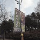 캘러웨이 용인남부센터 | 용인 아이와 갈만한 곳 다이노베이3 겨울 경기 남부 실내관광지 추천