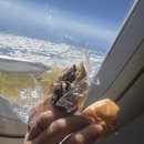 별뜨랑과 예술로 행복나르기 | No Porto&amp;Lisboa com a minha mãe 🇵🇹