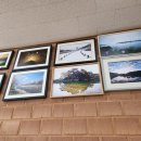 고향집 삼계탕 이미지