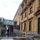 시드니여행 호주 박물관(Australian Museum) 가족여행추천