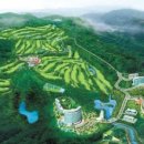 동아리조트 이미지