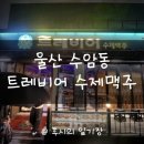 트레비어 | 울산 남구 수암동 수제맥주 맛집 트레비어 솔직후기