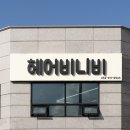 헤어비니비