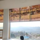 오늘 더 예쁘개 | #🌸벚꽃놀이🌸는 역시 양주👍