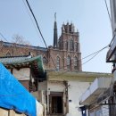 스노우즈 이미지