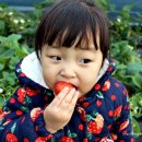 (주)행복한농장 이미지