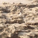 바다어시장 이미지