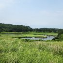 현대그린정비 | 한국의 페블비치, 해남 파인비치CC 라운드 후기 (전망/코스/그린 총정리)