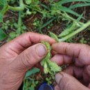 국제농장 이미지