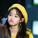 장담 이미지