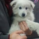 호돌이 당구장 이미지