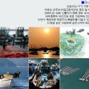 서해직업소개소