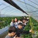 한양대라임태권도장 이미지