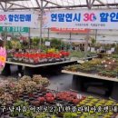 남사물향기야생화
