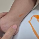 크레용 | 다이소 젤크레용 후기 / 다이소 젤크레용 장단점